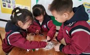 小雪到，冬始俏——记独墅湖幼儿园中班组二十四节气之小雪