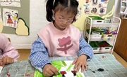 你好，小瓢虫