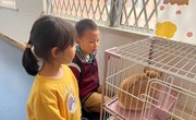 你好呀，小兔子