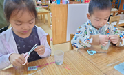 科学小实验——提取叶绿素
