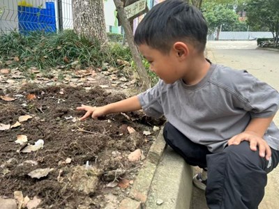 播种大蒜的小秘密