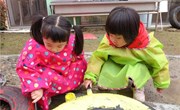 你好呀，春天！--记独墅湖幼儿园小班组《春天来了》主题活动
